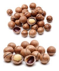 Canvas Print - Shelled and unshelled macadamia nuts on white background