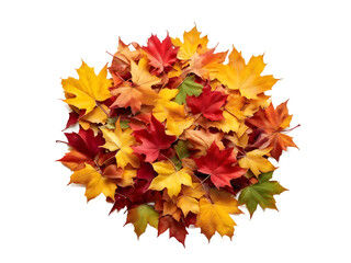 Wall Mural - Pile of fall colorful maple autumn leaves isolated on transparent background
