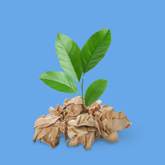 Wall Mural - Seedling with green leaves growing from crumpled paper on blue background. Recycling