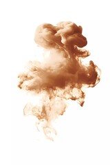 Poster - Abstract brown cloud vector, isolated on white. Abstract banner paint. Holi. Liquid ink. 