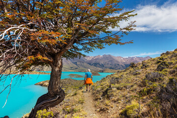 Wall Mural - Hike in Patagonia