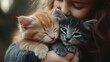 © Ahmed - Kittens of different colors are sitting quietly in the arms of a little girl
