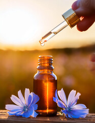 Wall Mural - Chicory flower, Cichorium intybus, bach flower, hand holding glass pipette, drop essence falling glass bottle, nature, flower, therapy flower, sun reflection