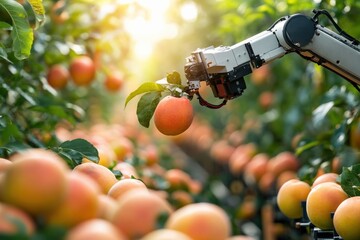Wall Mural - minimal ai-driven robotic harvester picking fruits, soft morning light, large copy space around the 