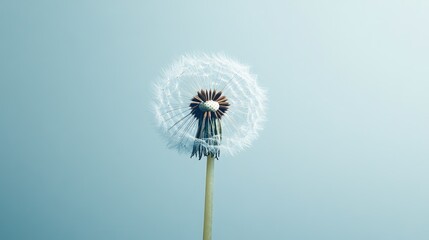 Sticker - Detailed close-up of a single dandelion, isolated against a minimal background, showcasing the fragile beauty of its seeds.