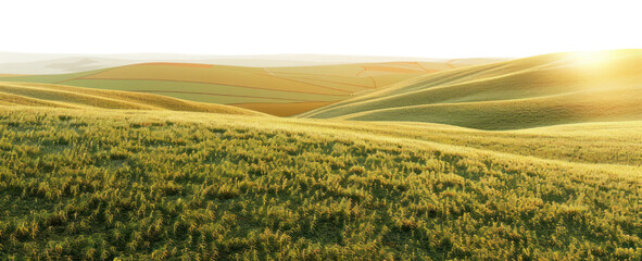 Wall Mural - PNG Serene rolling hills landscape