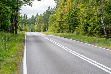 Wall Mural - An asphalt road going through a forest in Masuria