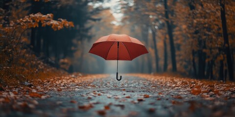 Poster - Red Umbrella Hovering Over a Fall Foliage Path