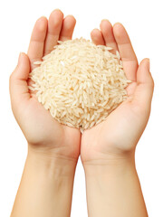 Poster - PNG Rice food freshness holding.