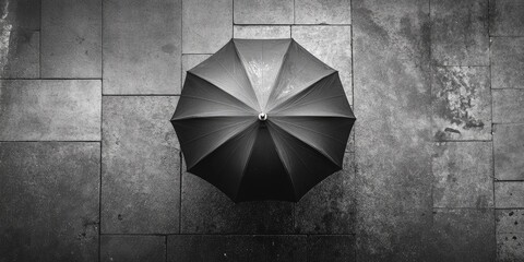 Canvas Print - Black Umbrella on Wet Pavement from Above