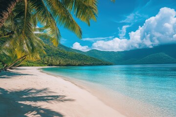 A beautiful beach with palm trees and a clear blue ocean