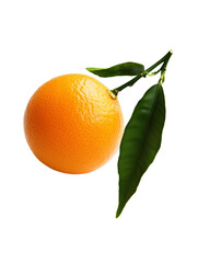 Wall Mural - ripe orange with green leaves isolated on transparent background