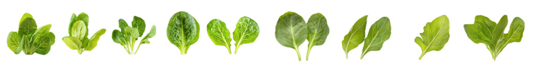 Poster - Isolated watercress leaves on a flat lay background, healthy organic food salad.