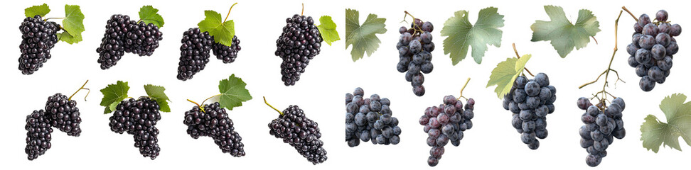 Leinwandbilder - Fresh Grapes with green leaves isolated on a background, different types of dark purple grapes, juicy fruit for refreshment.