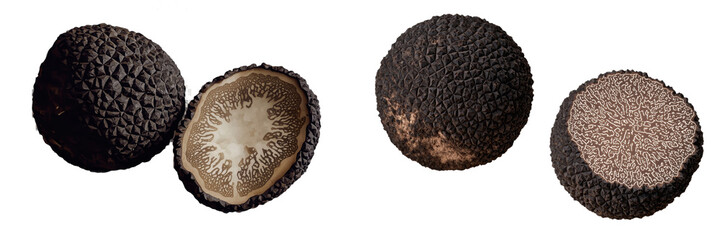 Aufkleber - Fresh truffle mushroom with half slice isolated on background, whole body of fungus, food ingredient.