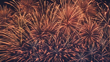 fireworks in the sky