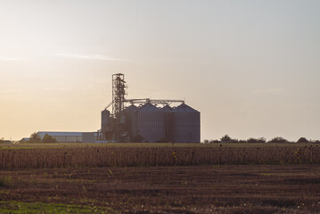 Modern metal agro silos granary elevator for agricultural products, flour, cereals and grain silhouette against the sunset sky