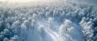 © Starkreal - Majestic Aerial View of Snow-Covered Trees in Winter Wonderland
