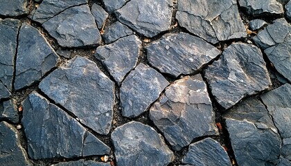 Wall Mural - A Close-Up of a Cracked Stone Pathway