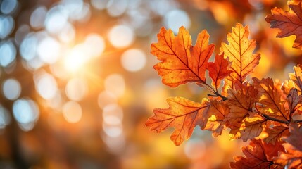 autumn background with orange fall leaves. garden scene on fall season with bright shiny sun ray and