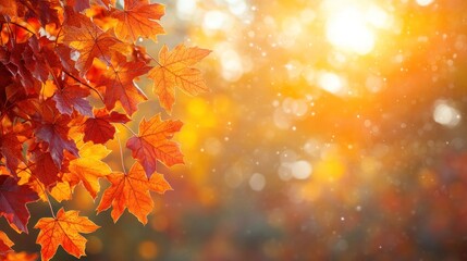 Wall Mural - Autumn background with orange fall leaves. Garden scene on fall season with bright shiny sun ray and maple tree