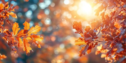 Wall Mural - Autumn background with orange fall leaves. Garden scene on fall season with bright shiny sun ray and maple tree