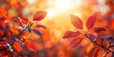 Wall Mural - Autumn background with orange fall leaves. Garden scene on fall season with bright shiny sun ray and maple tree