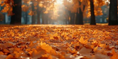 Wall Mural - Autumn background with orange fall leaves. Garden scene on fall season with bright shiny sun ray and maple tree