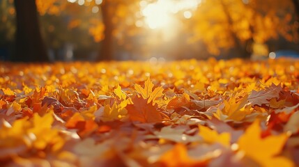 Wall Mural - Autumn background with orange fall leaves. Garden scene on fall season with bright shiny sun ray and maple tree