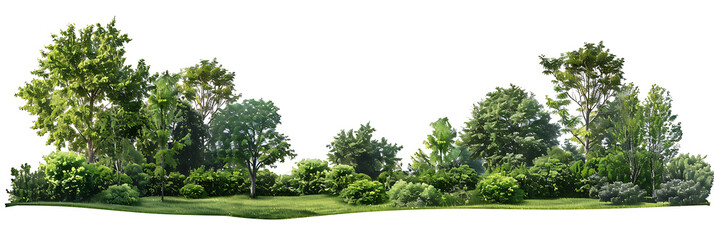 Green park landscape with bushes and trees, insolated on withe background