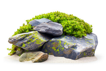 Wall Mural - Green plants thrive on smooth granite stones covered in vibrant moss, nestled on a sandy beach, creating a tranquil natural landscape under bright daylight