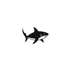 Wall Mural - shark illustration