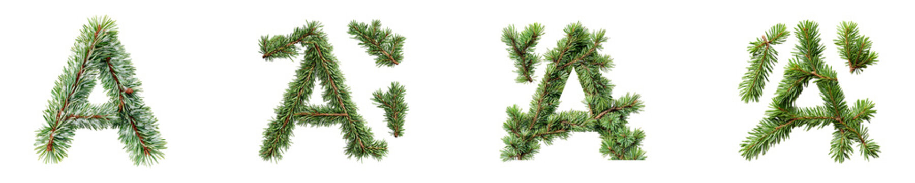 Set, collection of pine tree branches with the letter A isolated on transparent background.