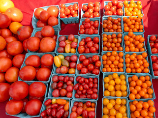 Wall Mural - different color of cherry tomato in containers in farmer’s market