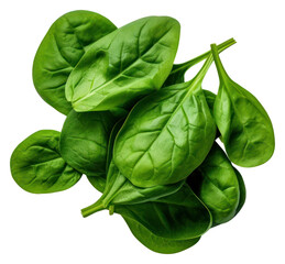 Sticker - PNG Spinach vegetable plant food.