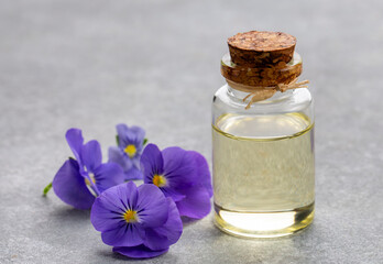 Wall Mural - Glass bottle of essential viola oil with fresh violet flowers, beauty treatment, alternative medicine