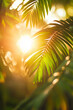 © Myroslava - Close-up image of tropical palm leaves in the light of the setting sun