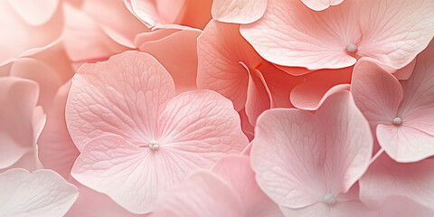 Wall Mural - A delicate, macro close-up of pale pink hydrangea petals, with soft, smooth textures and a bright, fresh feel, perfect for a light, airy background.