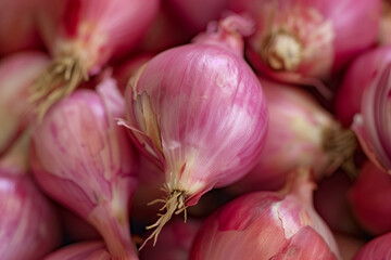 Wall Mural - Close-up of fresh Shallots onions, intriguing texture details