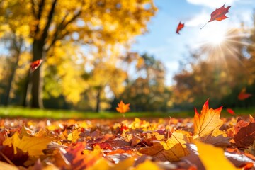 Wall Mural - Stunning close-up of autumn leaves on the ground in a park, with a majestic oak tree on a meadow in the background