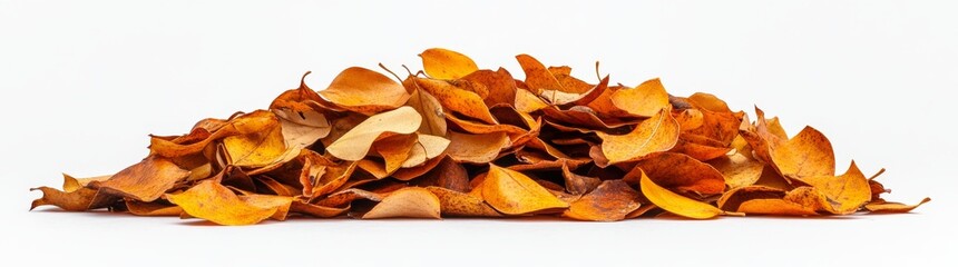 Wall Mural - Isolated pile of autumn colored leaves with a white background