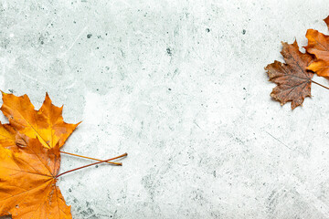Wall Mural - Top view frame with dry autumn maple leaves on paper grey background. Seasonal Fall flat lay with Autumn decorations on light grey, copy space
