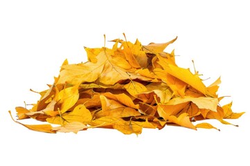 Sticker - A pile of yellow leaves on a white surface, ideal for autumn or fall-themed designs