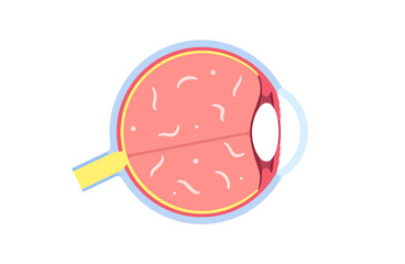 Sticker - Myodesopsia eye floaters