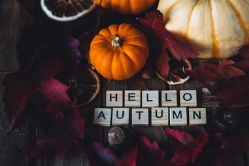 Hello autumn text on dark wooden background. Composition with bright autumn leaves, pumpkin, dry citrus, walnut. Cozy fall mood concept. Flat lay, close up, top view, macro