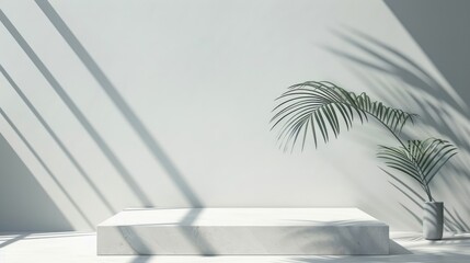 Canvas Print - Empty room with palm leaf shadows, podium for design and products.