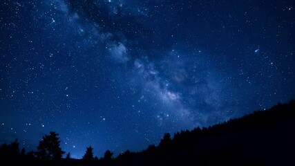 Wall Mural - night sky with twinkling stars and milky way