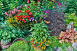 © Danita Delimont - USA, Washington State, Sammamish. Garden in summer bloom. (PR)