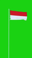 Wall Mural - The Indonesian flag flutters in the wind on a green screen background. Vertical video