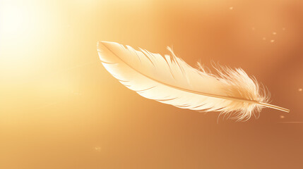 Poster - Golden Feather Floating Gracefully In Warm Light